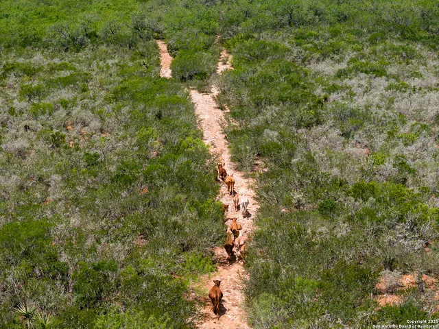 a map view of a house