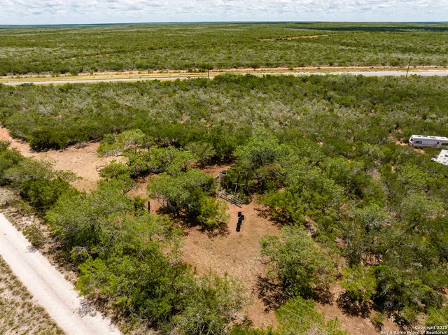 a view of a large body of water with a large tree