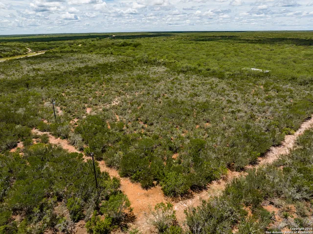 a view of a dry yard with green space