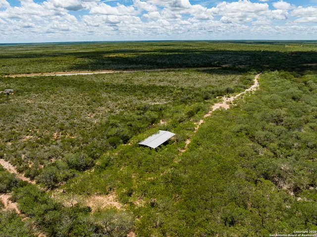 a view of dirt field with trees around