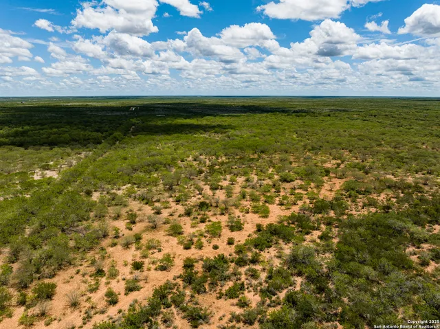 a view of beach and ocean