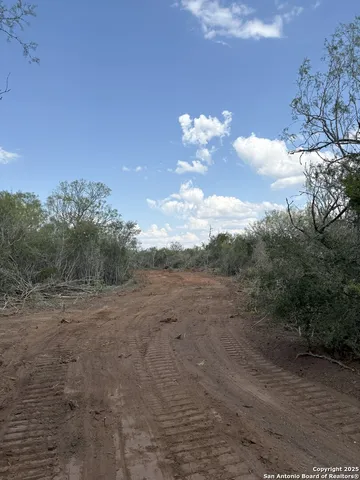 a view of a dry yard with trees