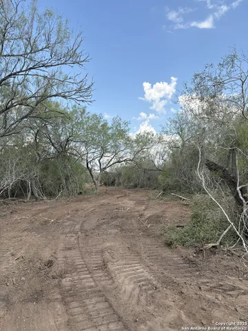 a view of a yard with trees in the background
