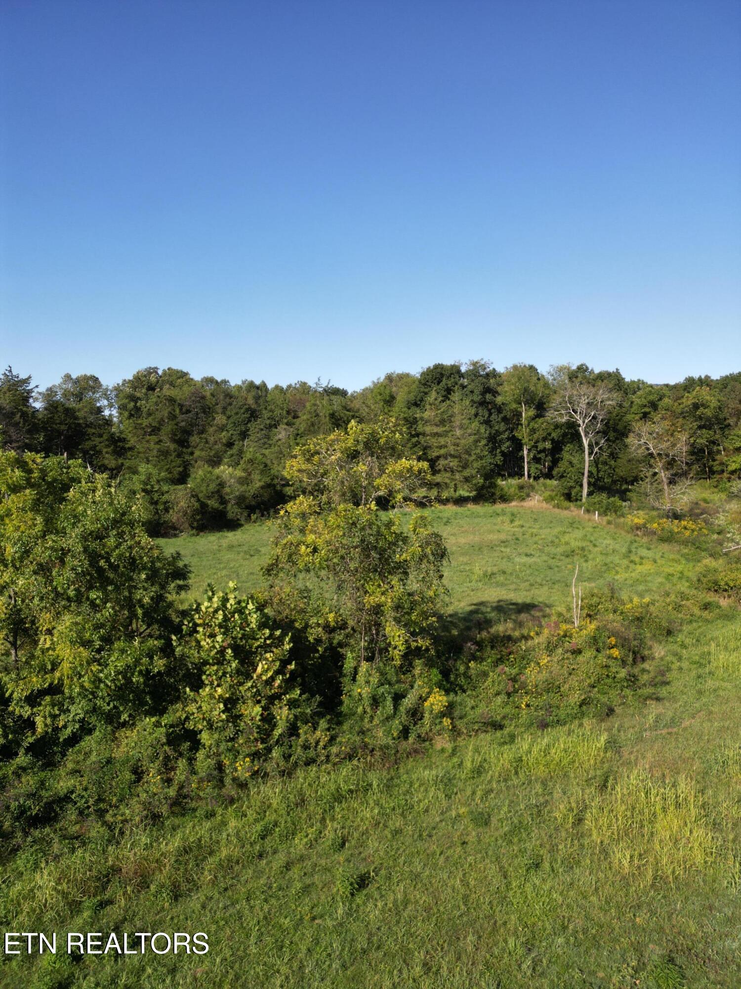 317 Singleton Hollow Road, Unit LOT 3 Speedwell, TN 37870 - Photo 12 of 23 DJI_0321