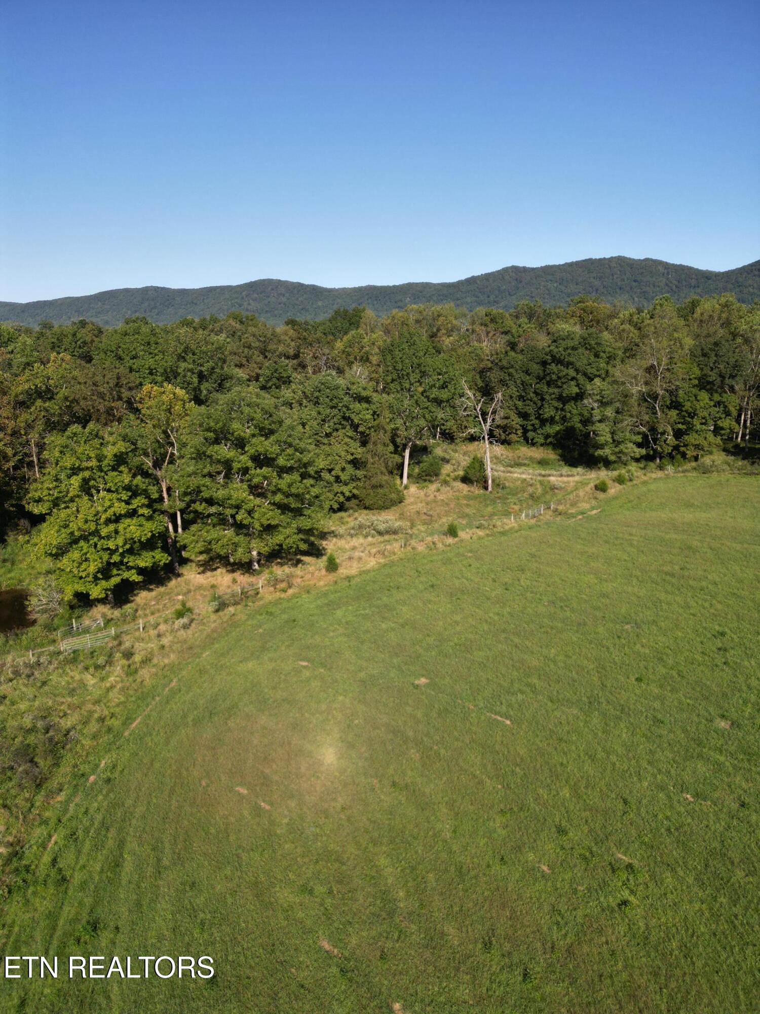 317 Singleton Hollow Road, Unit LOT 3 Speedwell, TN 37870 - Photo 15 of 23 DJI_0324