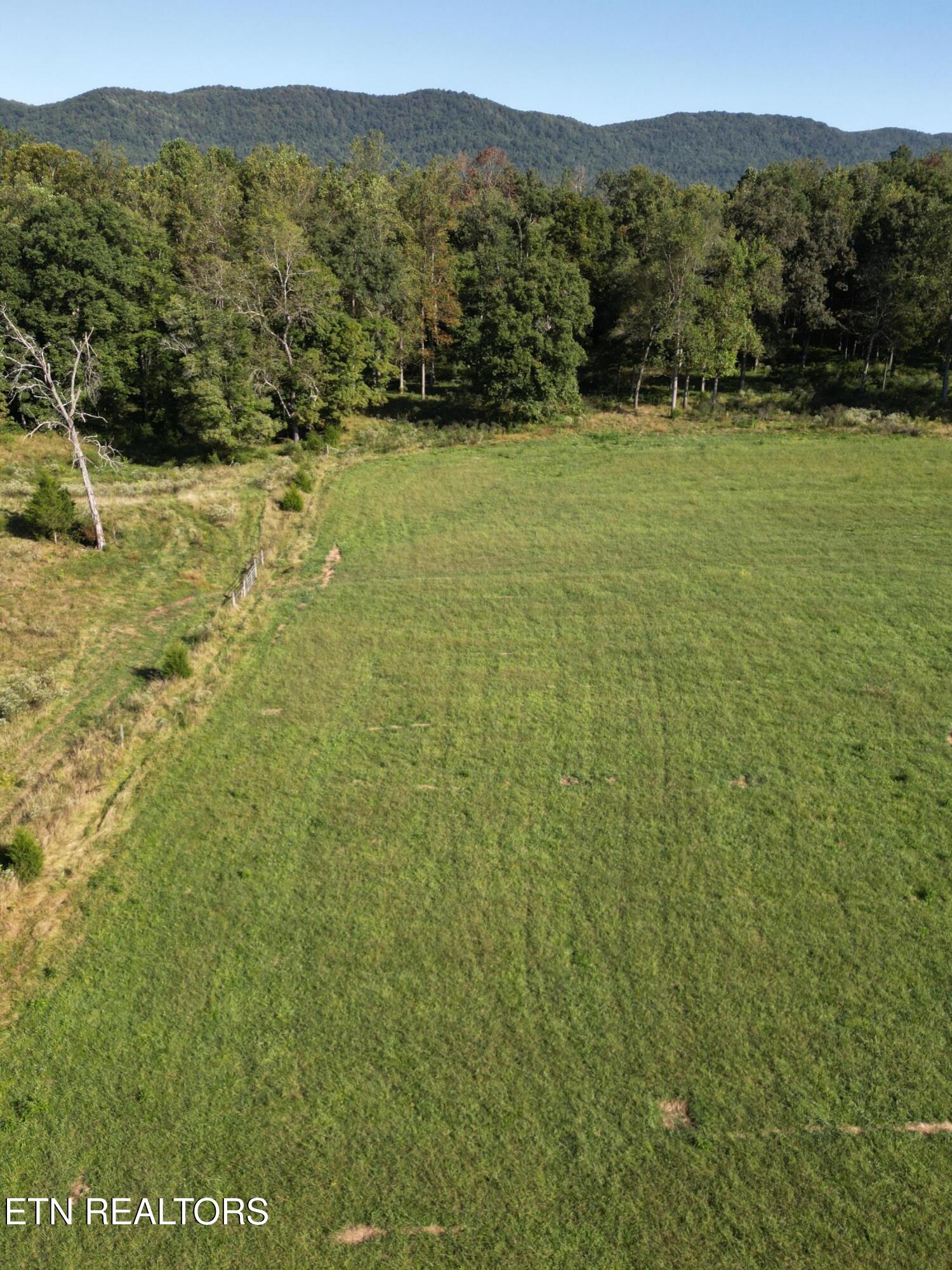 317 Singleton Hollow Road, Unit LOT 3 Speedwell, TN 37870 - Photo 17 of 23 DJI_0326