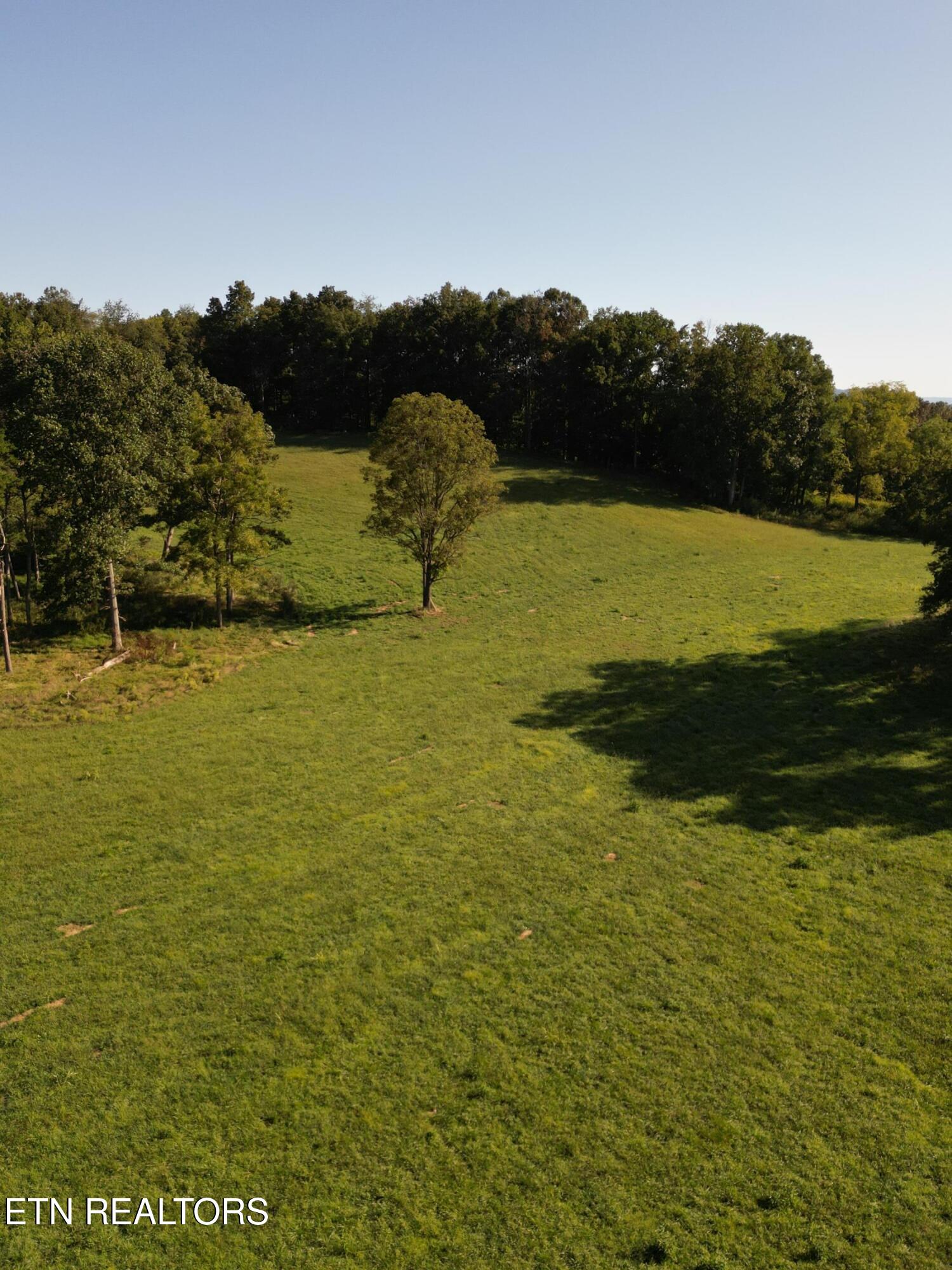 317 Singleton Hollow Road, Unit LOT 3 Speedwell, TN 37870 - Photo 18 of 23 DJI_0328
