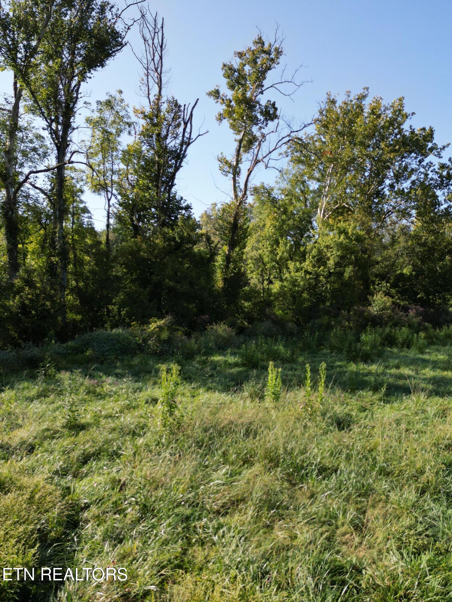 317 Singleton Hollow Road, Unit LOT 3 Speedwell, TN 37870 - Photo 2 of 23 DJI_0308