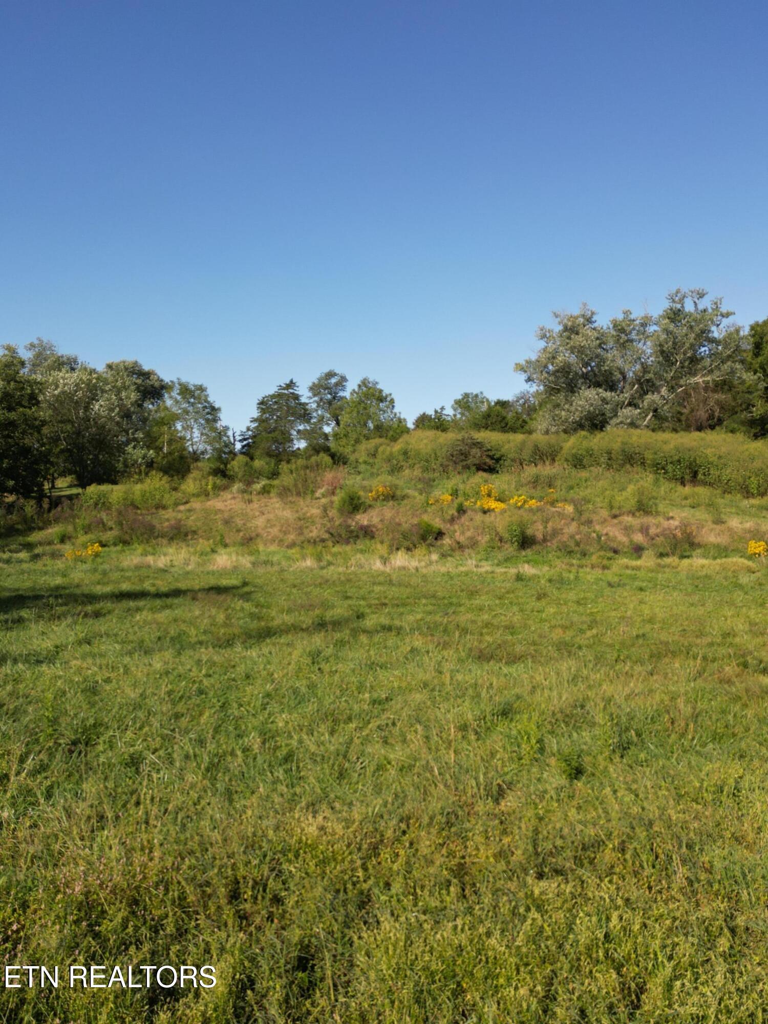 317 Singleton Hollow Road, Unit LOT 3 Speedwell, TN 37870 - Photo 3 of 23 DJI_0309