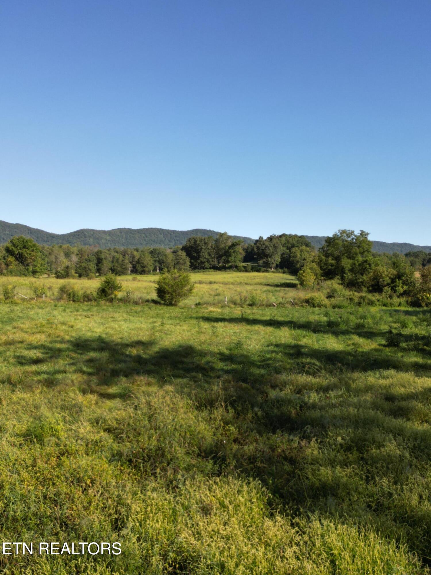 317 Singleton Hollow Road, Unit LOT 3 Speedwell, TN 37870 - Photo 4 of 23 DJI_0310