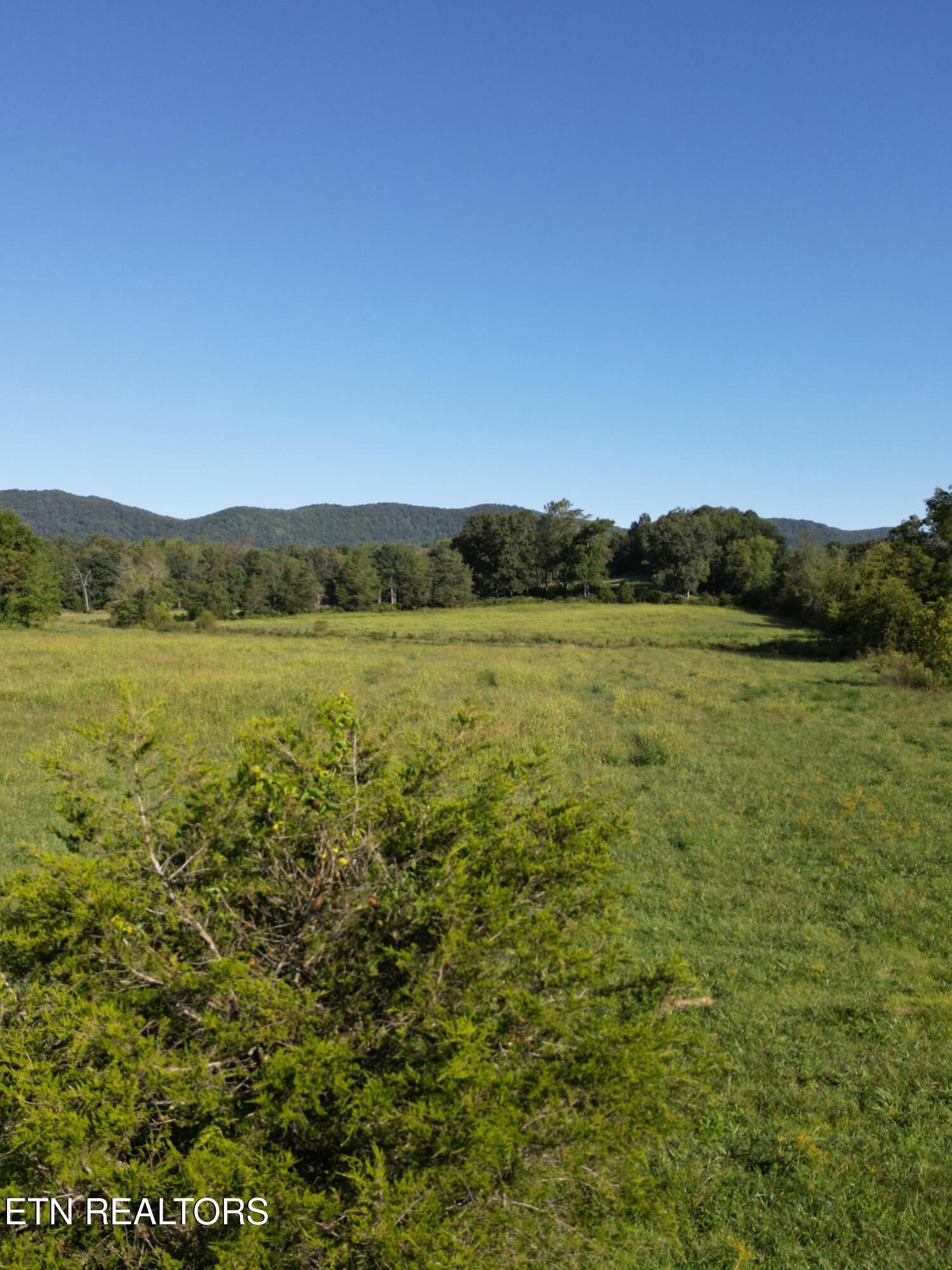 317 Singleton Hollow Road, Unit LOT 3 Speedwell, TN 37870 - Photo 5 of 23 DJI_0311