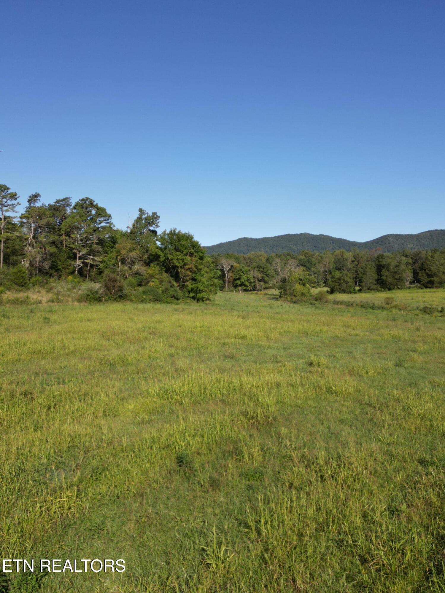 317 Singleton Hollow Road, Unit LOT 3 Speedwell, TN 37870 - Photo 6 of 23 DJI_0313