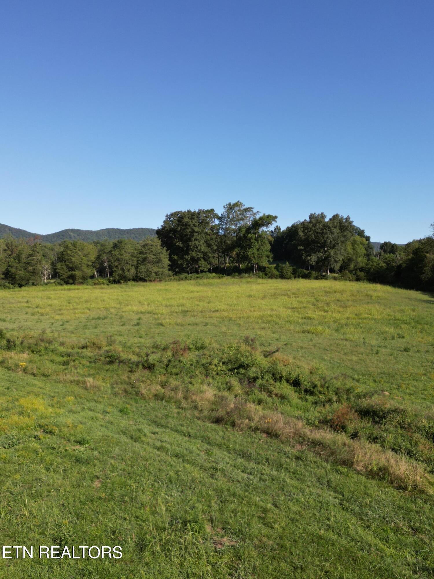 317 Singleton Hollow Road, Unit LOT 3 Speedwell, TN 37870 - Photo 8 of 23 DJI_0316