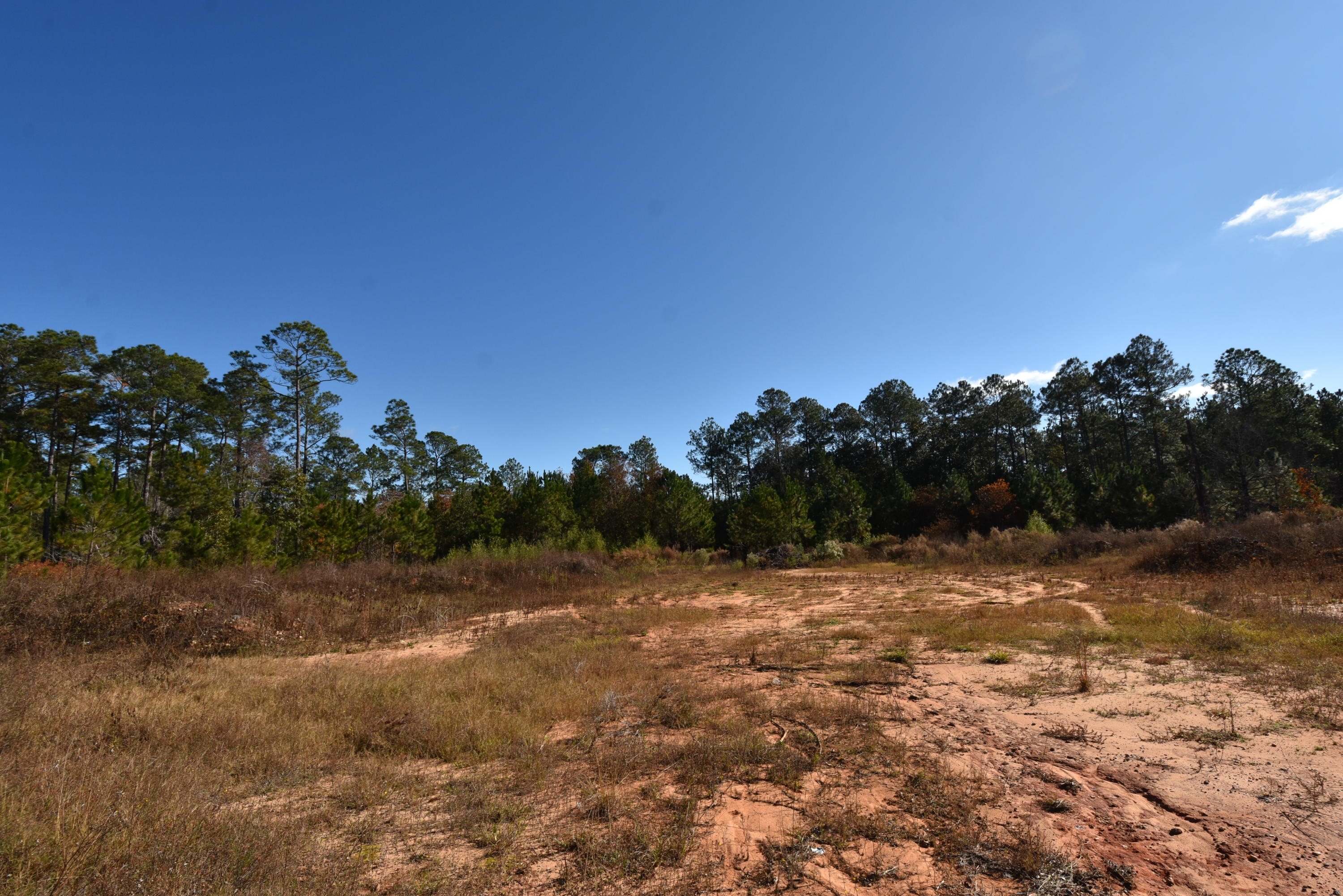 1-acre Old River Road Baker, FL 32531 - Photo 5 of 8 KBW_6668