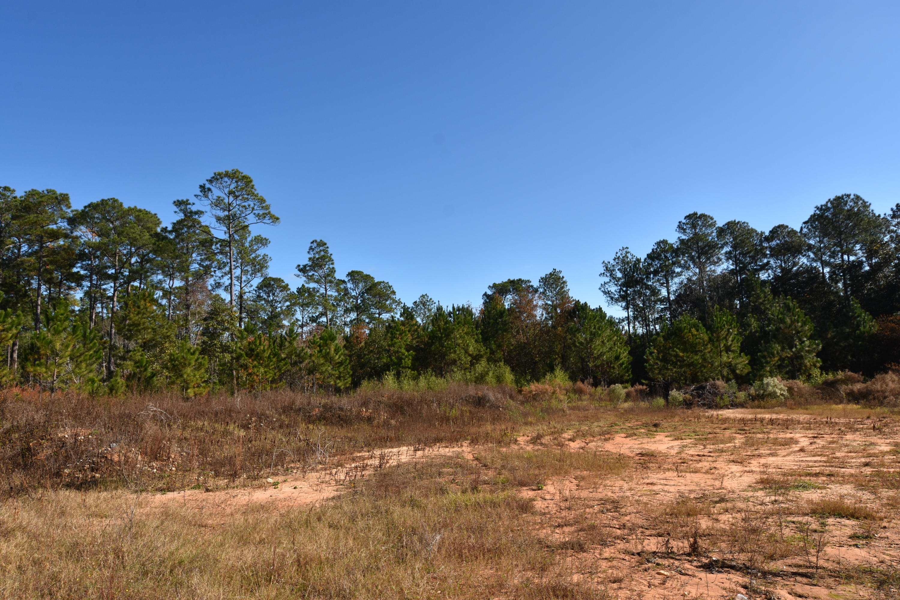 1-acre Old River Road Baker, FL 32531 - Photo 7 of 8 KBW_6670