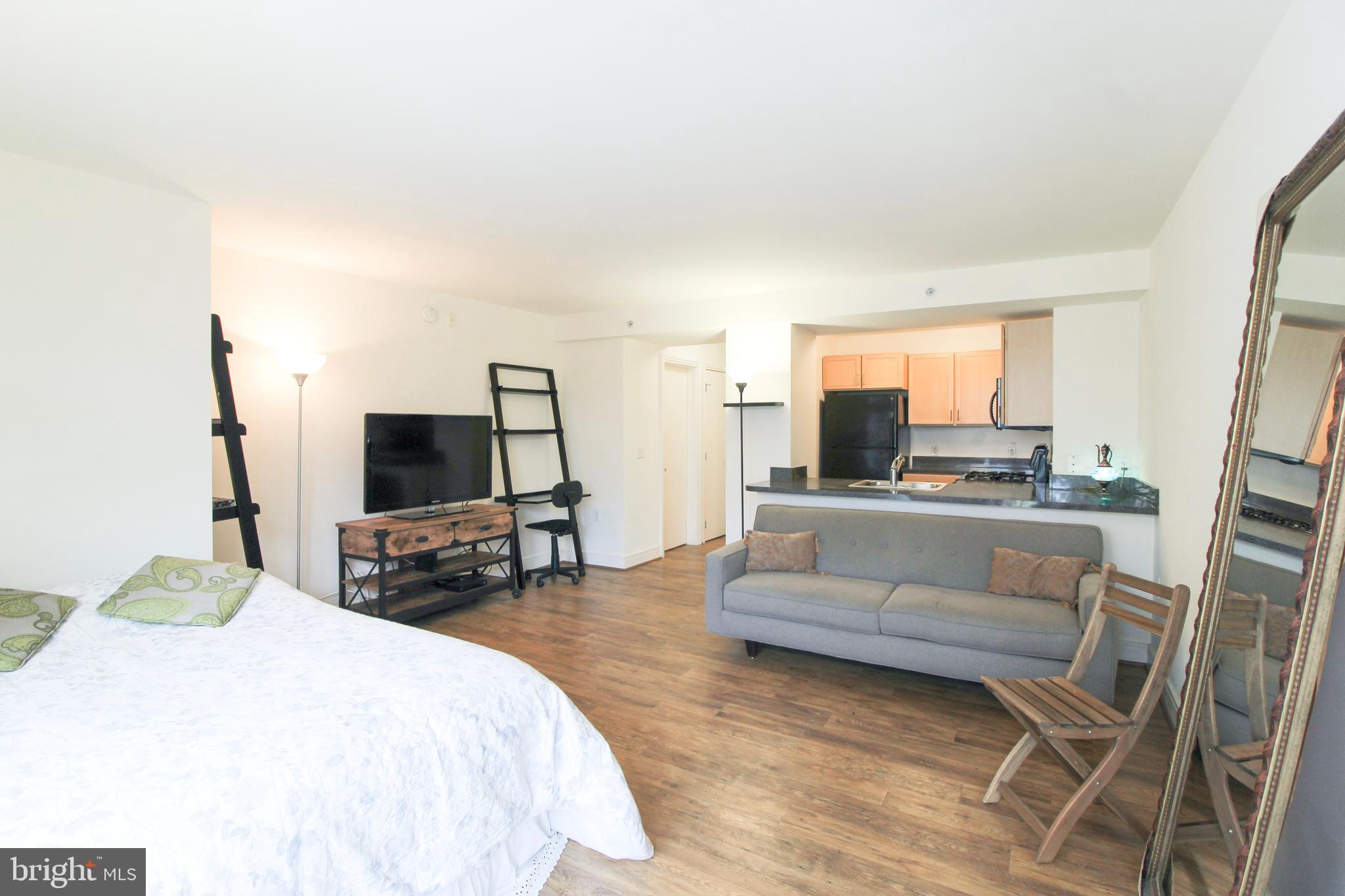 800 4th Street Southwest, Unit N203 Washington, DC 20024 - Photo 4 of 33