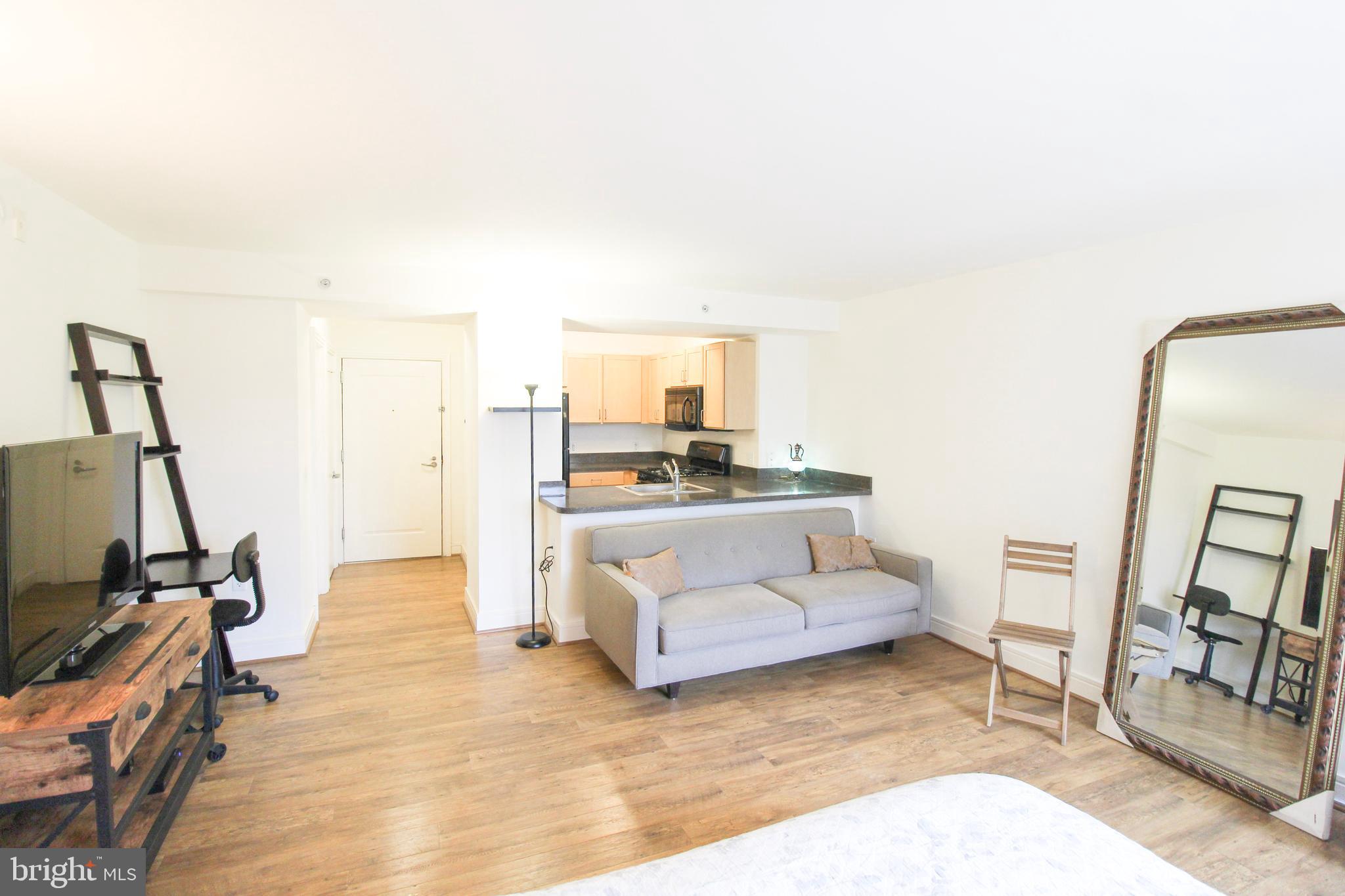 800 4th Street Southwest, Unit N203 Washington, DC 20024 - Photo 6 of 33