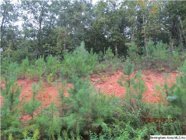 0 Lock 4 Road, Unit 3 PARCEL Lincoln, AL 35096 - Photo 6 of 10