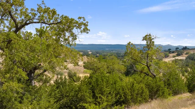an aerial view of mountain with trees