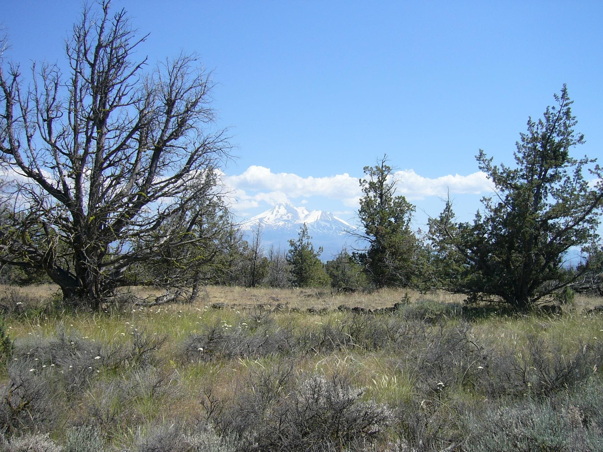 10.1 Yuba Meba Rancho Road Montague, CA 96064 - Photo 11 of 23 Gallery Image 11