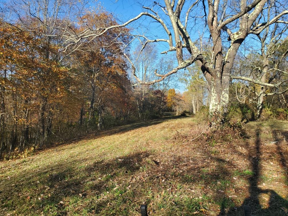 905 Knight Road Rural Retreat, VA 24368 - Photo 17 of 41 Gallery Image 17