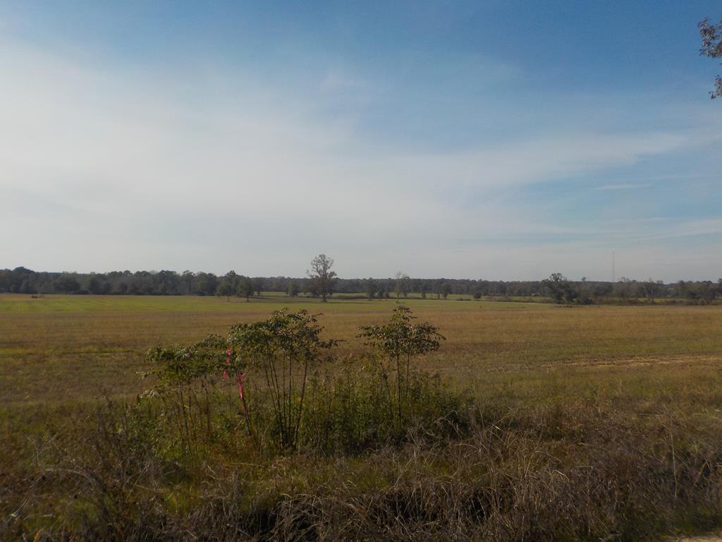 Lot 9 -ac Reardon Road Dothan, AL 36301 - Photo 1 of 1