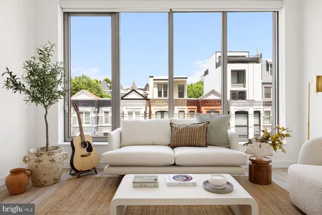 a living room with furniture flowerpot and wooden floor