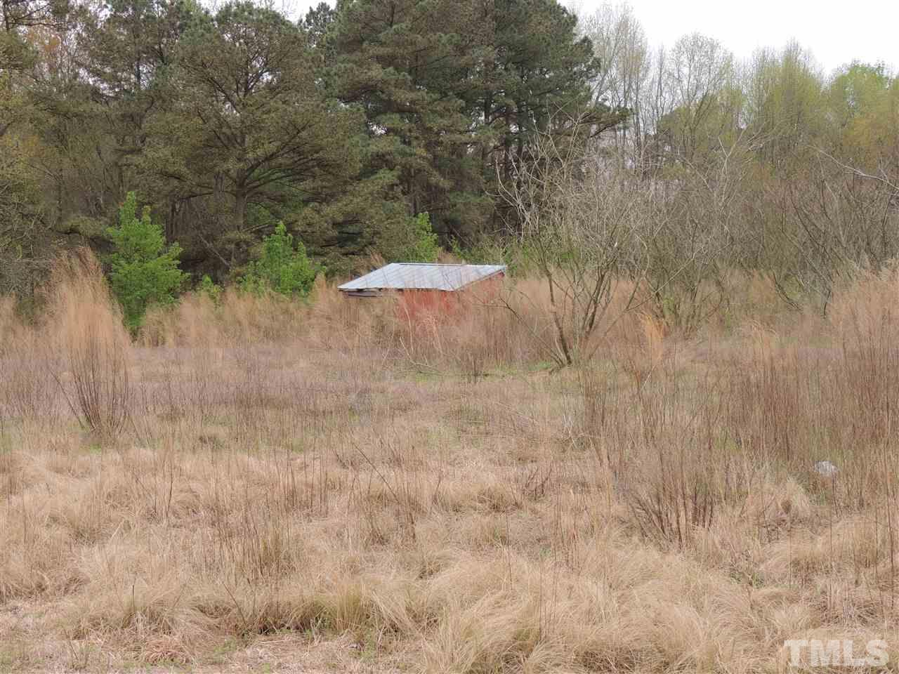 3871 Johnston County Road Angier, NC 27501 - Photo 3 of 6 a view of a dry yard