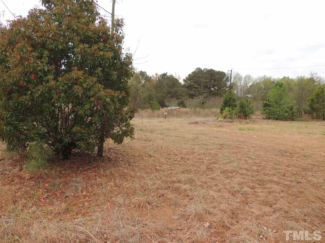 3871 Johnston County Road Angier, NC 27501 - Photo 4 of 6 a view of dirt field with trees in background