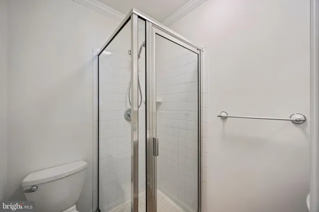 a bathroom with a shower and a toilet