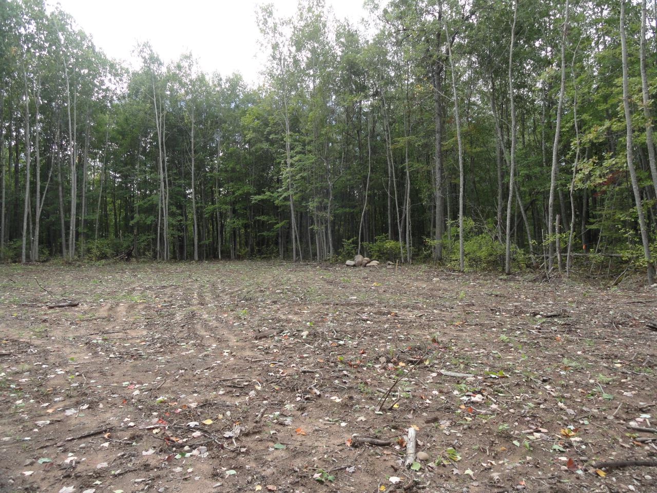 Lot 16 Pfeifer Road Tomahawk, WI 54487 - Photo 12 of 24 Gallery Image 12