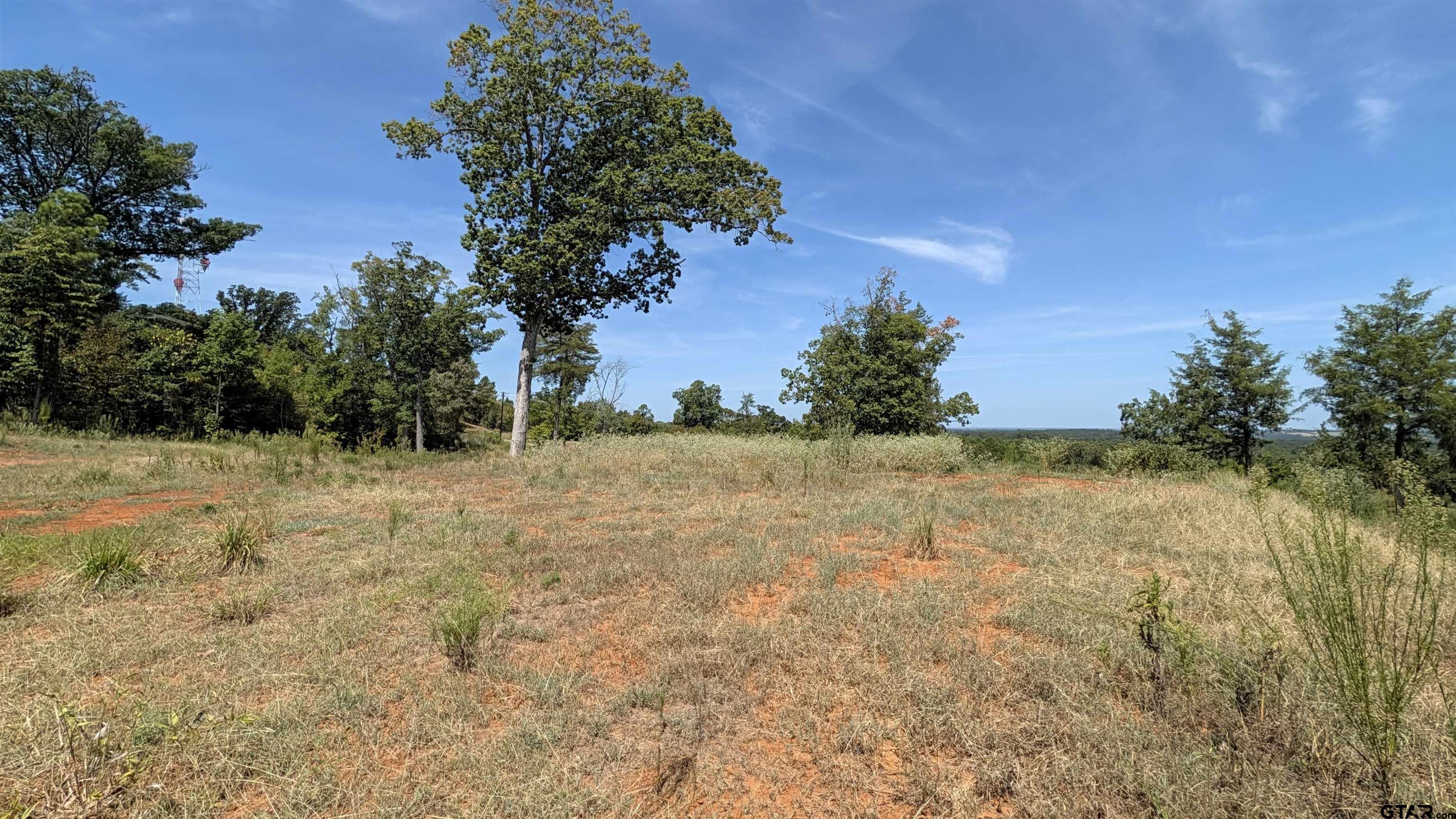 16416 Ridgeline Loop Winona, TX 75792 - Photo 10 of 15 Gallery Image 10