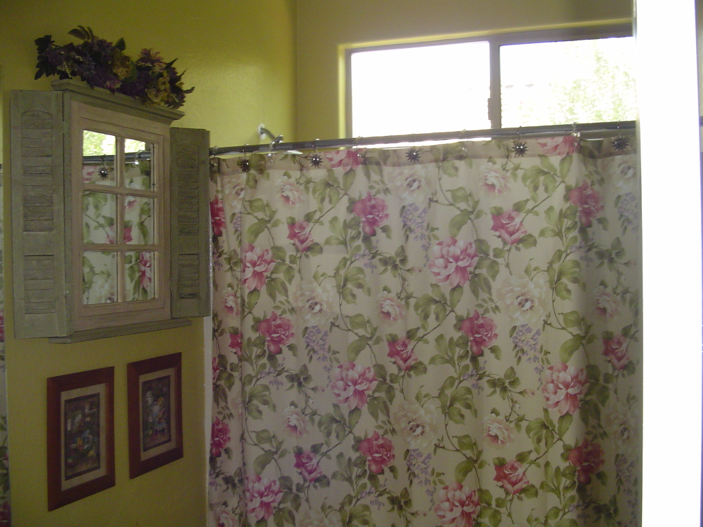 4612 East Murrieta Road Gilbert, AZ 85297 - Photo 12 of 14 main bath