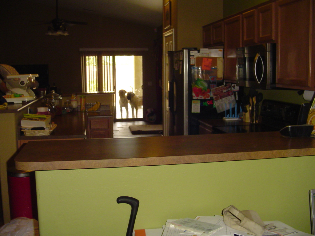 4612 East Murrieta Road Gilbert, AZ 85297 - Photo 10 of 14 kitchen