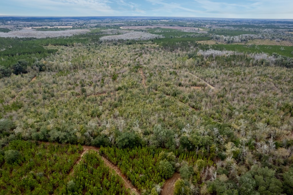 2 Pilgram Ch Road Gordon, AL 36343 - Photo 4 of 17