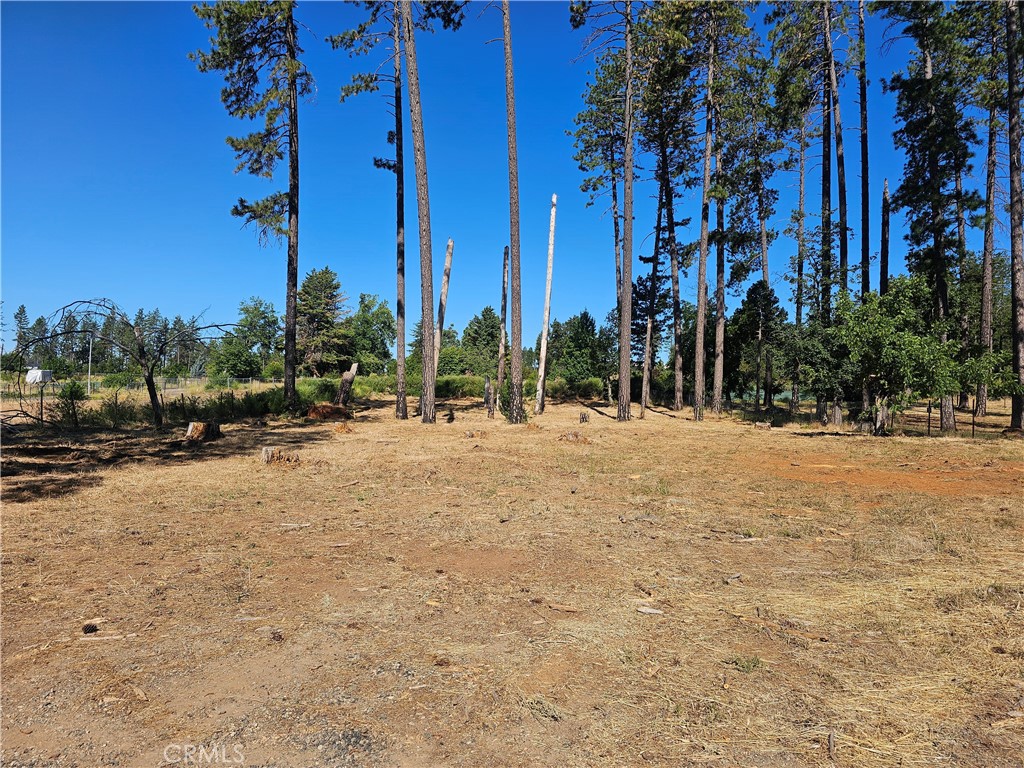 6849 Clark Road Paradise, CA 95969 - Photo 4 of 5