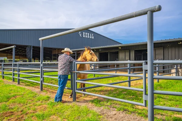 a view of a house with swimming pool