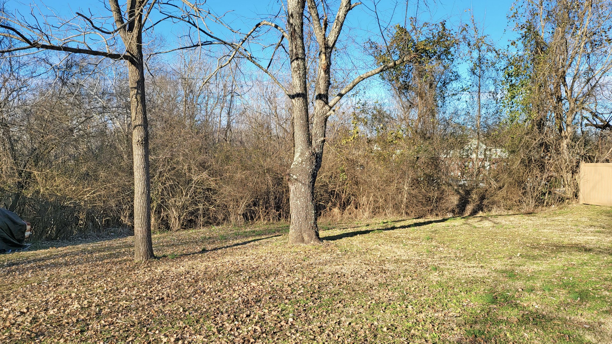 411 Rhum Drive Columbia, TN 38401 - Photo 11 of 11 Gallery Image 11