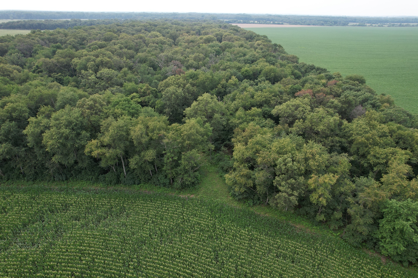 0 7000s Road St. Anne, IL 60964 - Photo 11 of 50 a view of a lush green forest with a lake