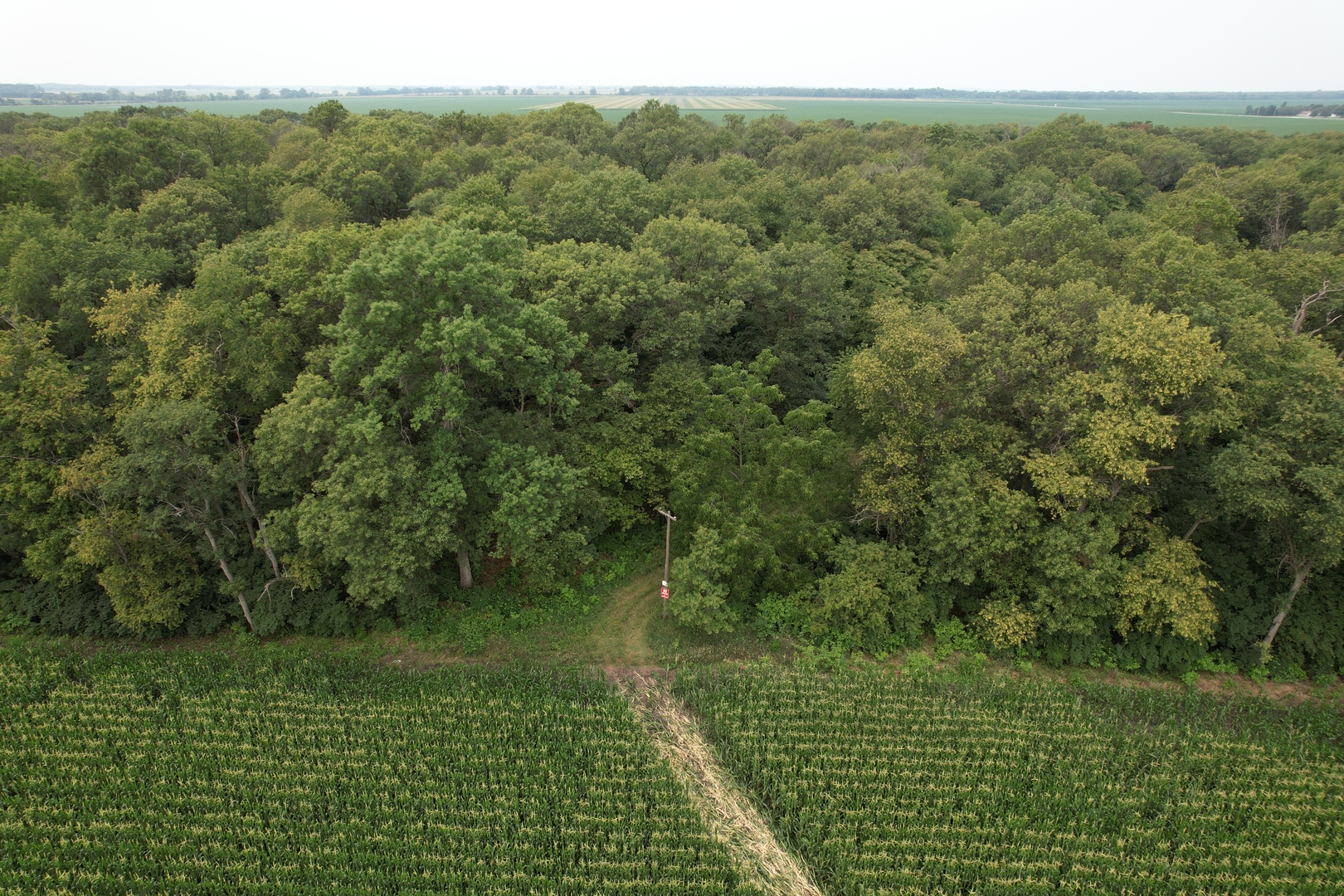 0 7000s Road St. Anne, IL 60964 - Photo 14 of 50 a view of a lake with a yard