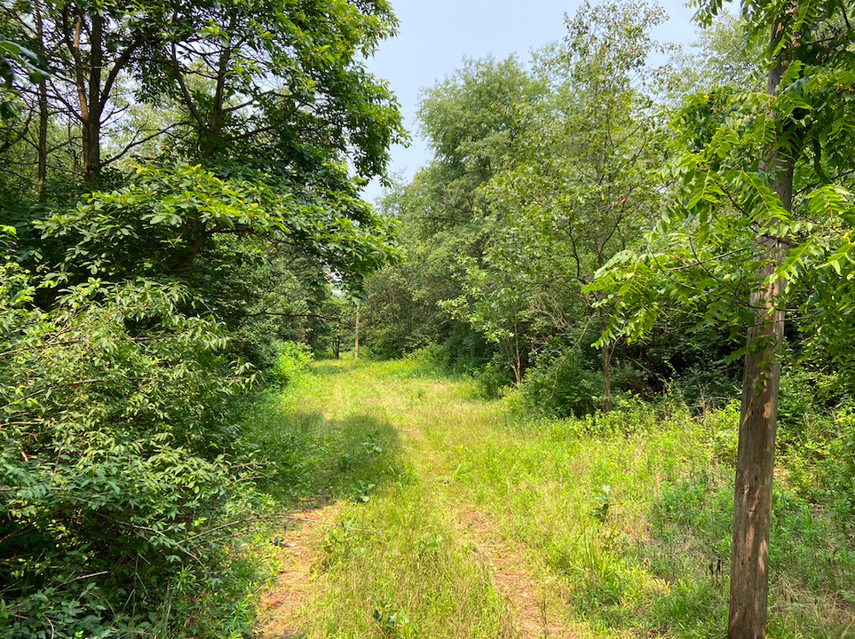 0 7000s Road St. Anne, IL 60964 - Photo 16 of 50 a view of yard with green space