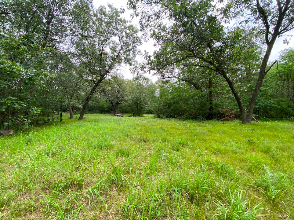 0 7000s Road St. Anne, IL 60964 - Photo 18 of 50 a view of green field with trees in the background