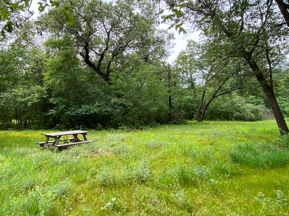 0 7000s Road St. Anne, IL 60964 - Photo 19 of 50 a backyard of a house with trees and wooden fence