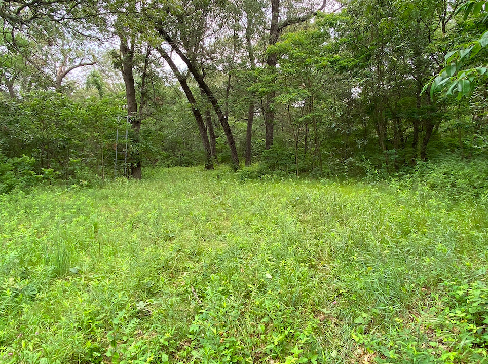 0 7000s Road St. Anne, IL 60964 - Photo 25 of 50 a view of outdoor space and green space