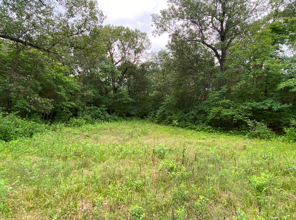 0 7000s Road St. Anne, IL 60964 - Photo 27 of 50 a view of outdoor space and yard