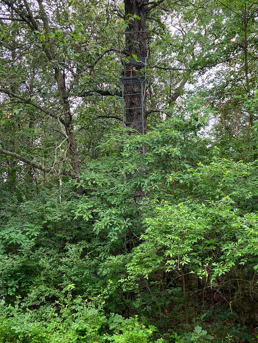 0 7000s Road St. Anne, IL 60964 - Photo 28 of 50 a view of a lush green forest
