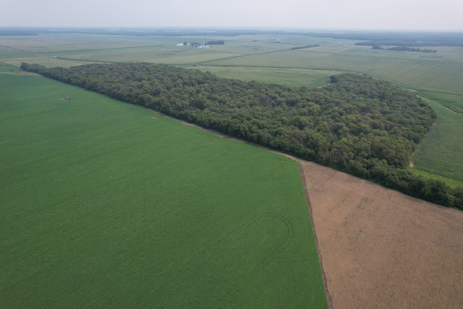 0 7000s Road St. Anne, IL 60964 - Photo 3 of 50 a view of a field with an ocean