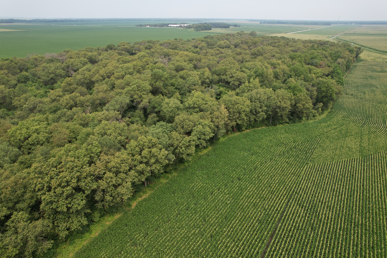 0 7000s Road St. Anne, IL 60964 - Photo 9 of 50 a view of a field with an ocean view