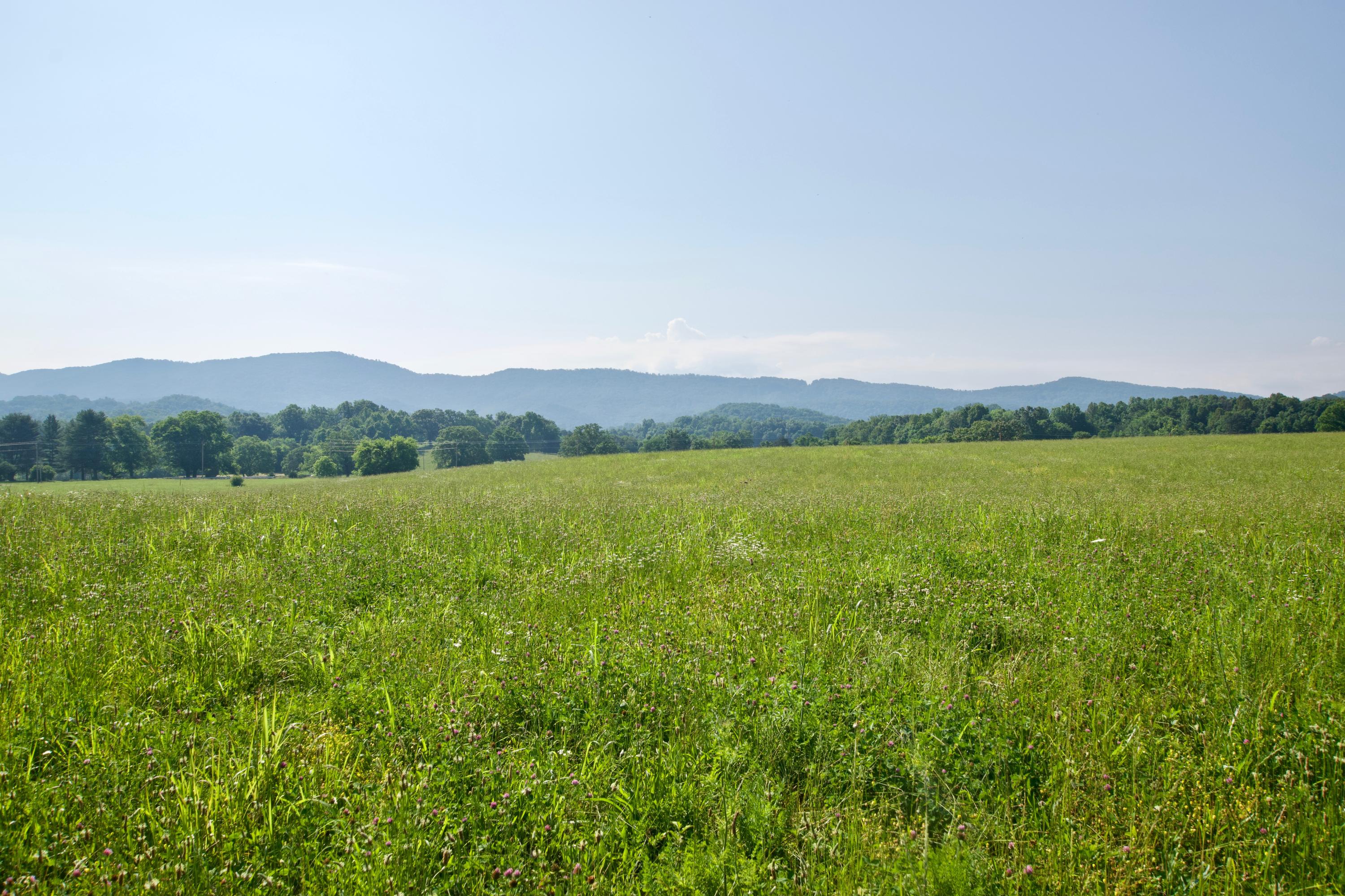 Lot 5 Chilhowee View Road Maryville, TN 37803 - Photo 1 of 4 DSC_0609