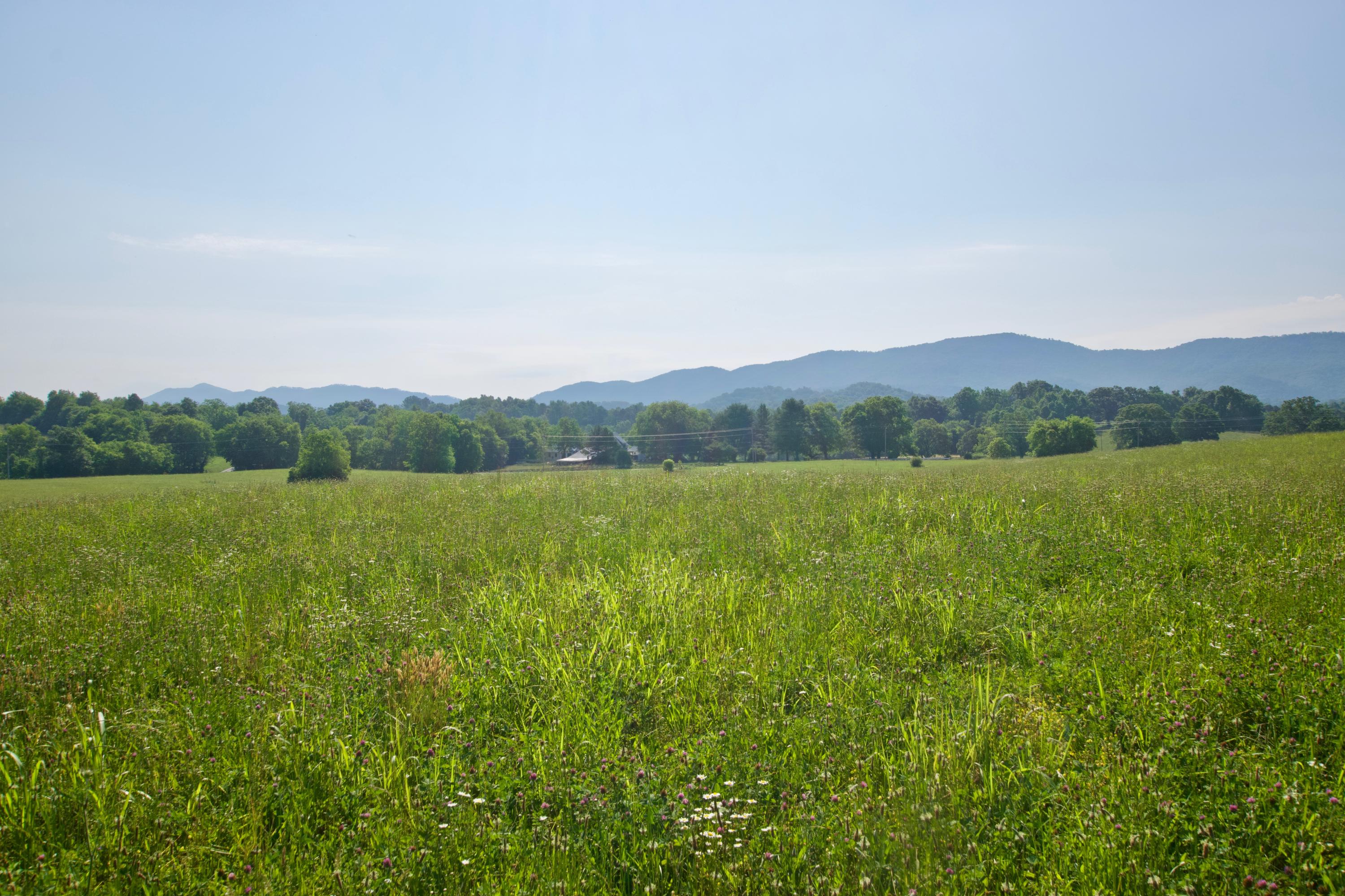 Lot 5 Chilhowee View Road Maryville, TN 37803 - Photo 2 of 4 DSC_0608